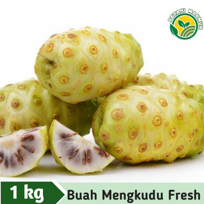 

Buah Mengkudu Fresh Buah Pace 1kg Obat Herbal