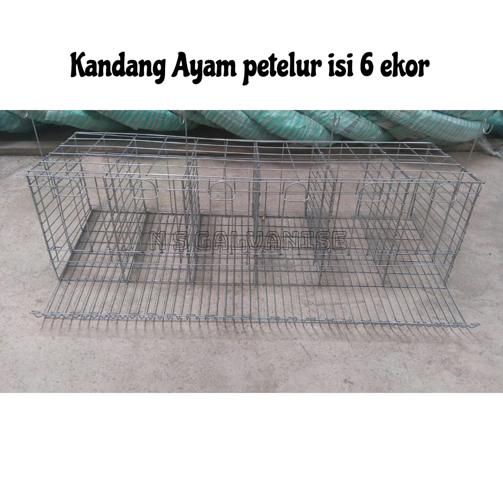 KANDANG BATREY AYAM PETELUR PINTU 6 ( isi 6 ekor )