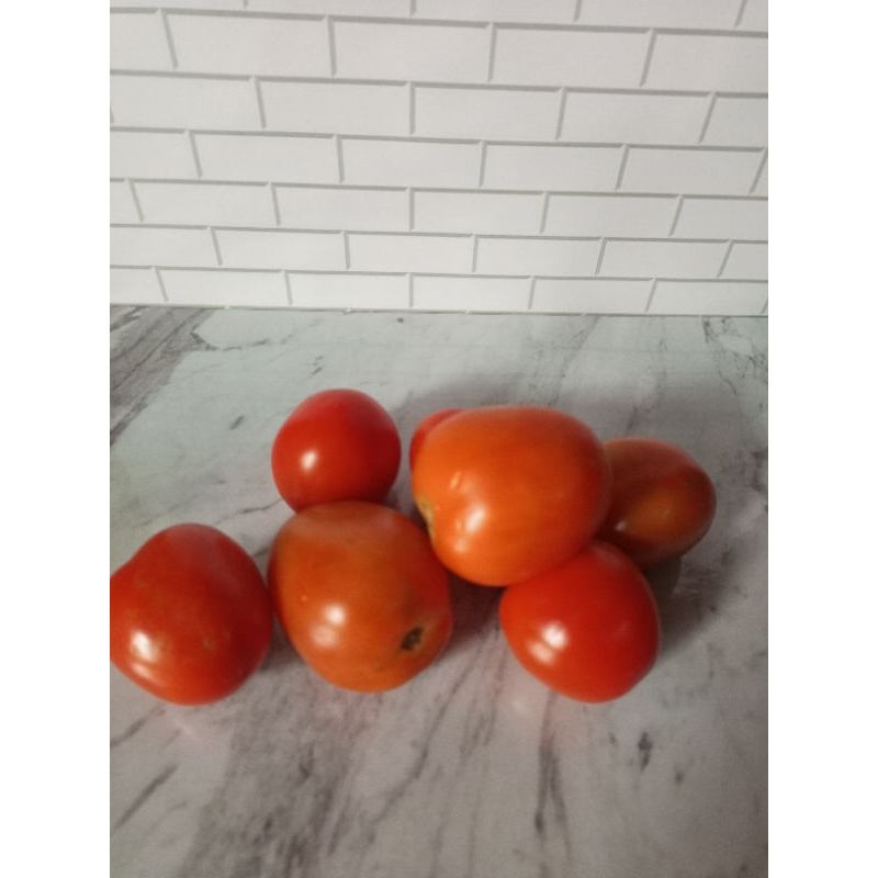 

Tomat merah segar