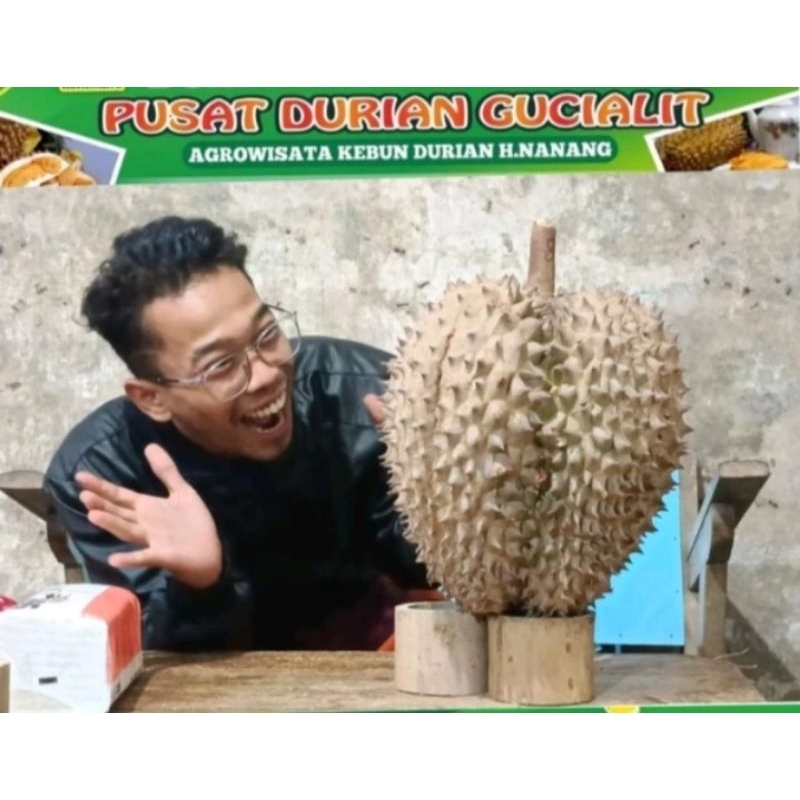 

Pusat Durian Gucialit Agrowisata Kebun H.Nananang