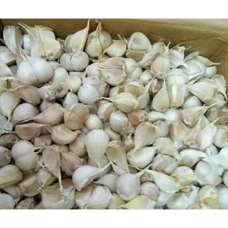 

bawang putih bersih 500g