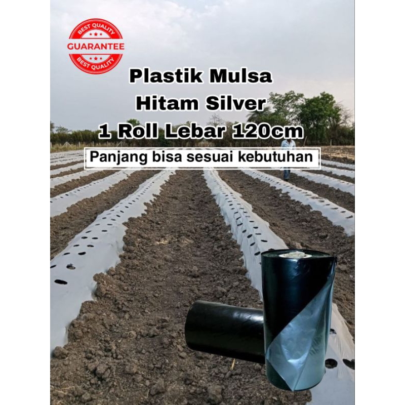 Plastik Mulsa Panjang 100 Meter x Lebar 1.2 Meter