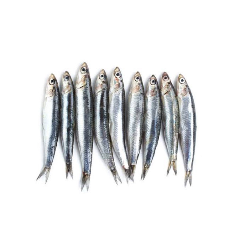 

Ikan Lemuru/Kucing 500gr