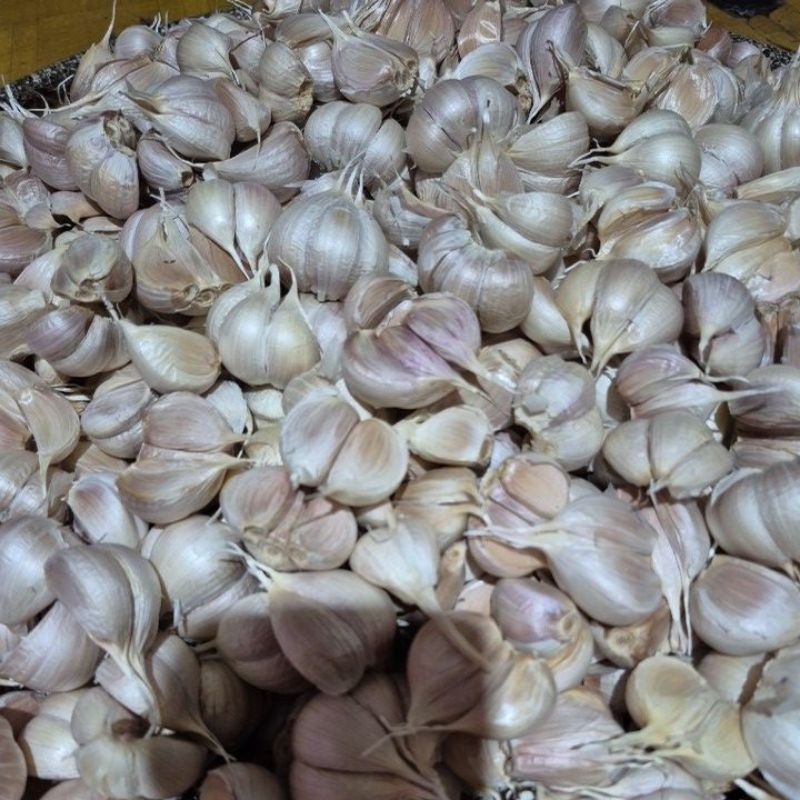 

Bawang Kating Bersih Import 500gram