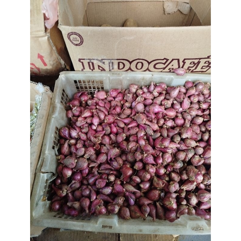 

Bawang Merah Pilihan Super Terbaik 500Gram