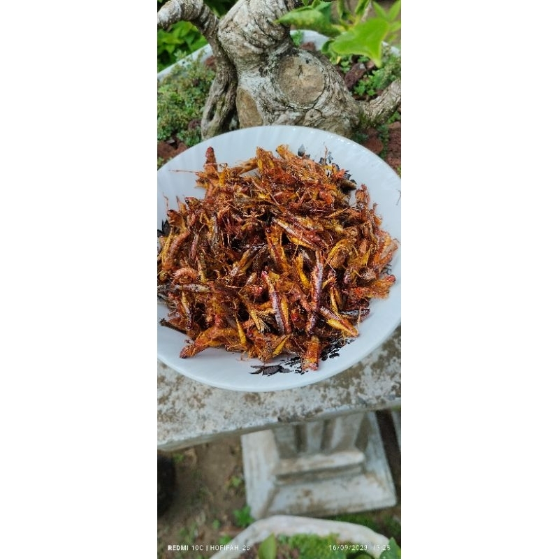 

belalang goreng utis 110g
