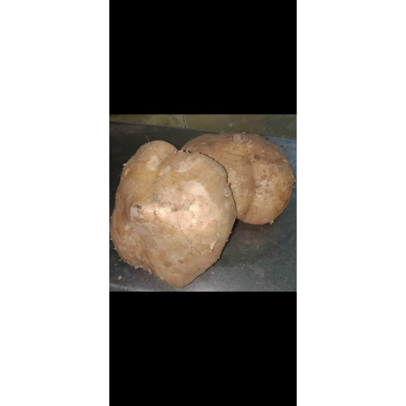 

Buah Bengkoang - 500gram