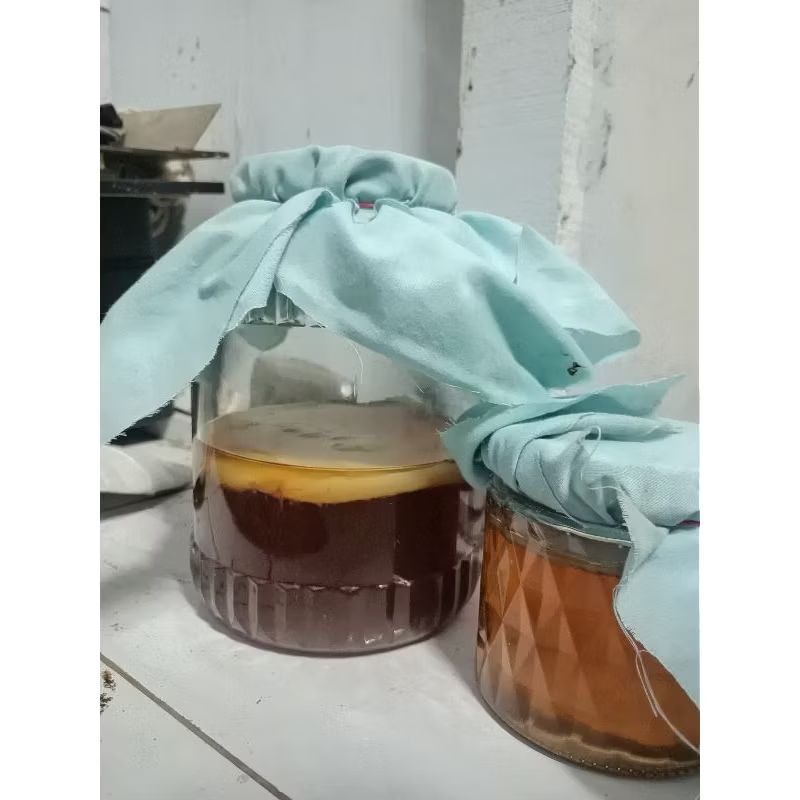 

KOMBUCHA STRATER SAJA✓