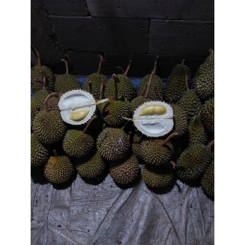 

Durian Asli Lokal