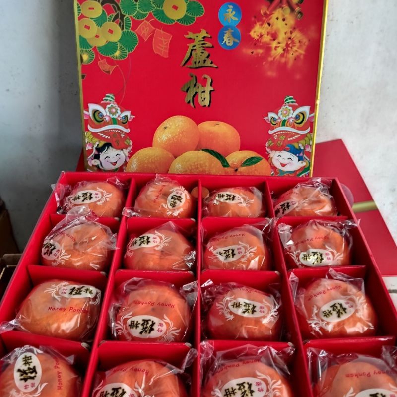 

HAMPERS IMLEK BUAH JERUK PONKAM MANDARIN HDL GIFT BOX EMAS
