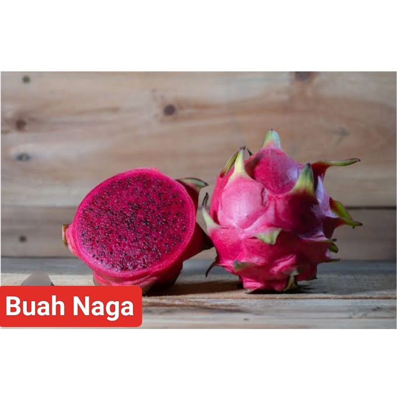 

Buah Naga Merah Super Grade A,