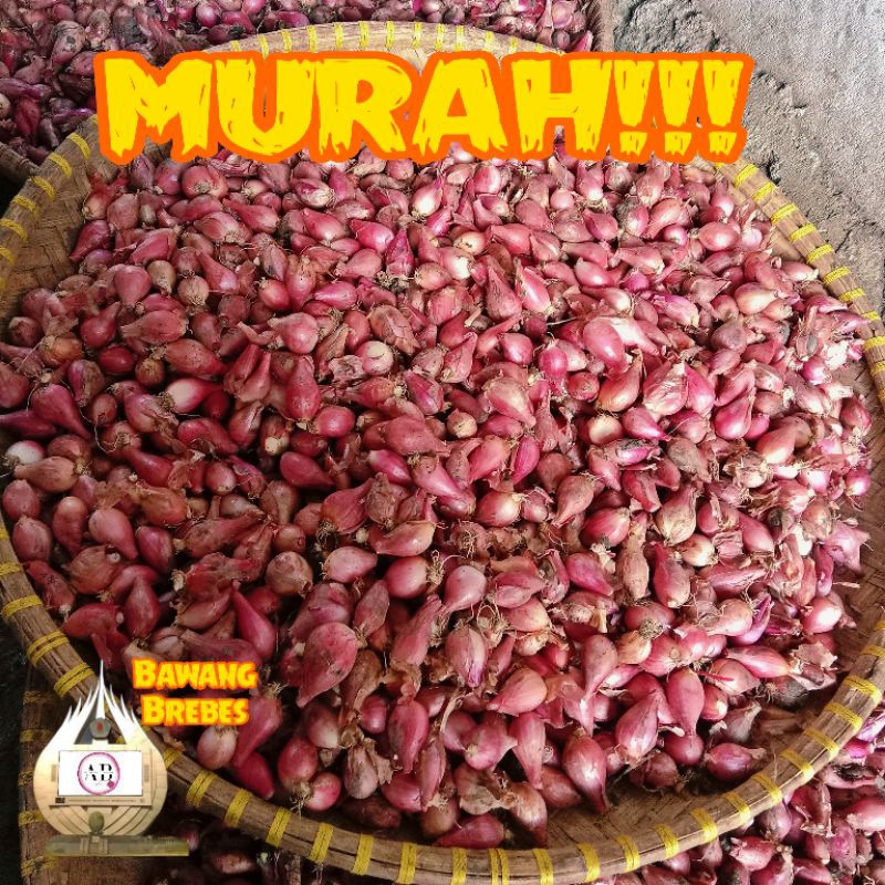 

BAWANG MERAH KECIL 1KG | BAWANG MERAH ASLI BREBES | BAWANG MERAH 1KG | BAWANG MERAH ½KG | BAWANG MERAH BUMBU | BUMBU MASAKAN