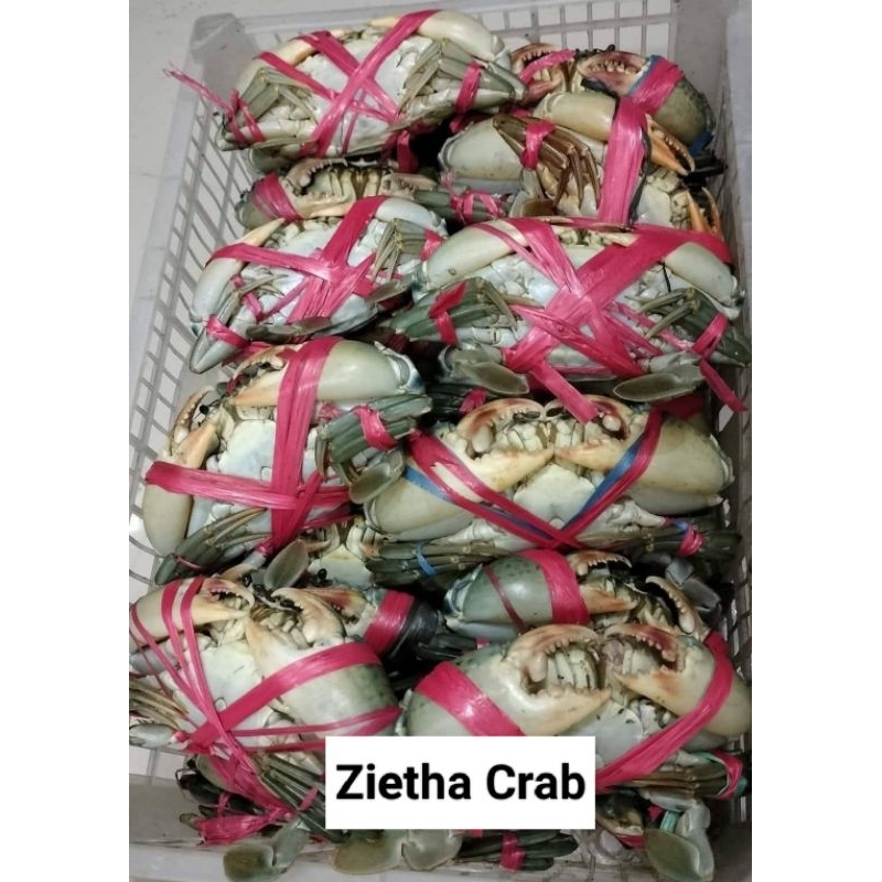 

KEPITING HIDUP harga per kilogram