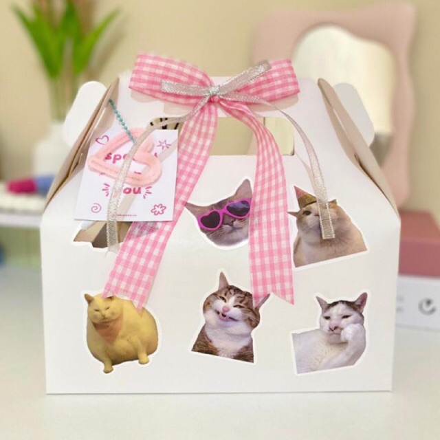 

[PO 3 HARI] HAMPERS BOX CUTE CAT [include snack] HAMPERS GIFT