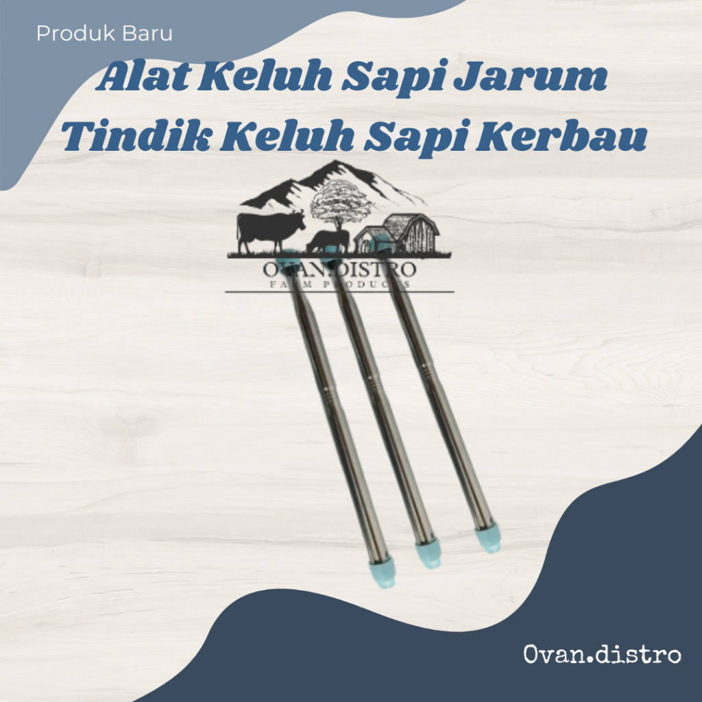 Alat Keluh Sapi Jarum Tindik Keluh Sapi Kerbau Stainless Steel