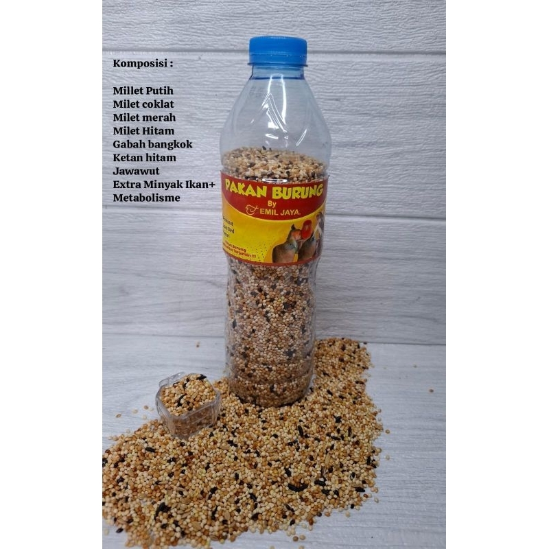 Pakan burung perkutut murah berkualitas