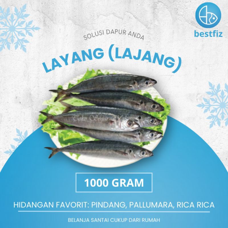 

Ikan Layang