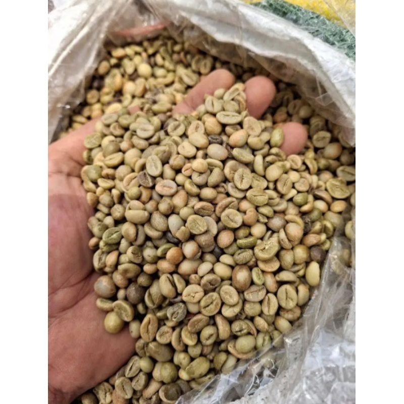 

Biji kopi nangka Jember