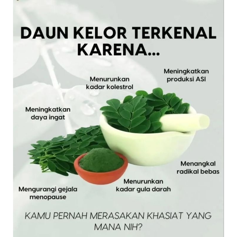 

DAUN KELOR serbuk tinggi vitamin A sehatkan tubuh sembuhkan berbagai penyakit