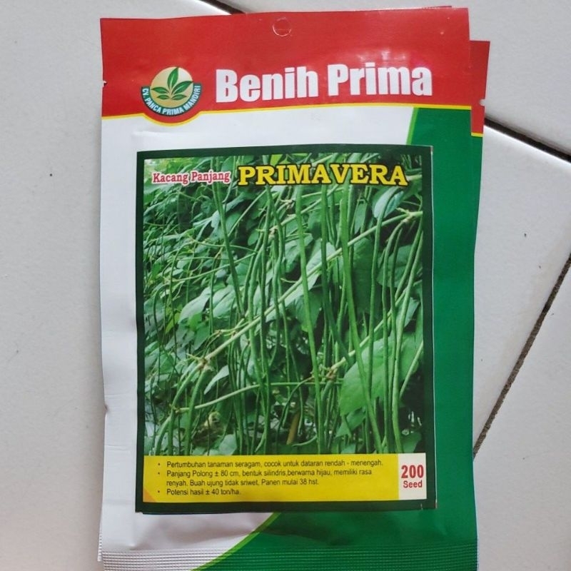 

KACANG PANJANG PRIMA VERA