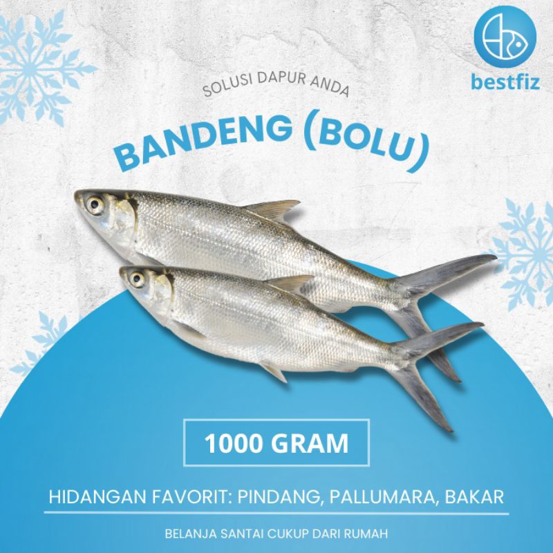 

Ikan Bandeng