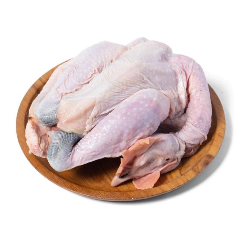 

Ayam kampung Frozen kondisi beku instan kurir bekasi