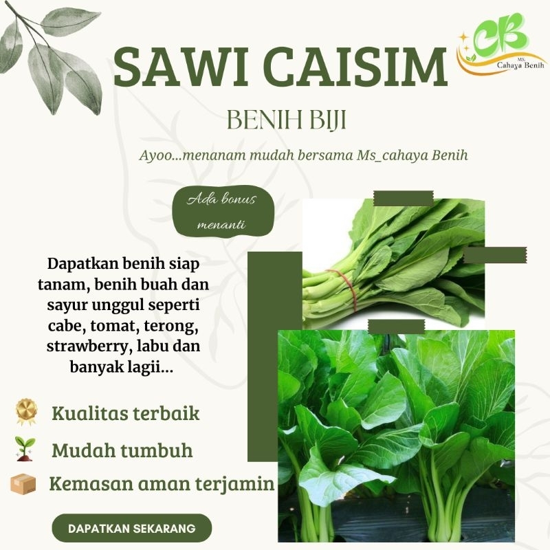 Benih biji caisim manis paket 1000, bibit sawi caisim manis