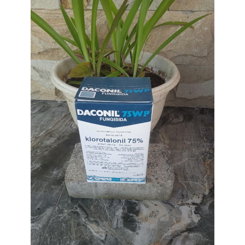 ￼DACONIL 75WP 500gr - Fungisida