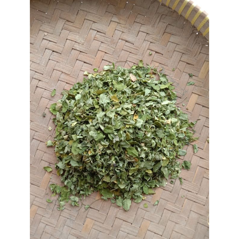 

Daun Kelor kering kualitas baik