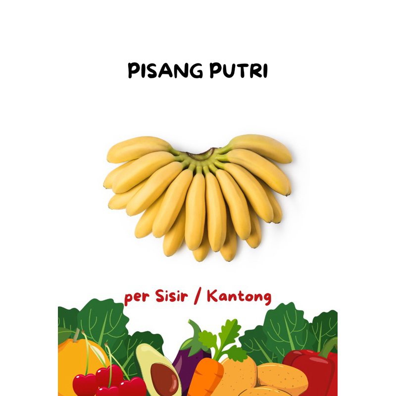 

Pisang putri perkantong atau sisir