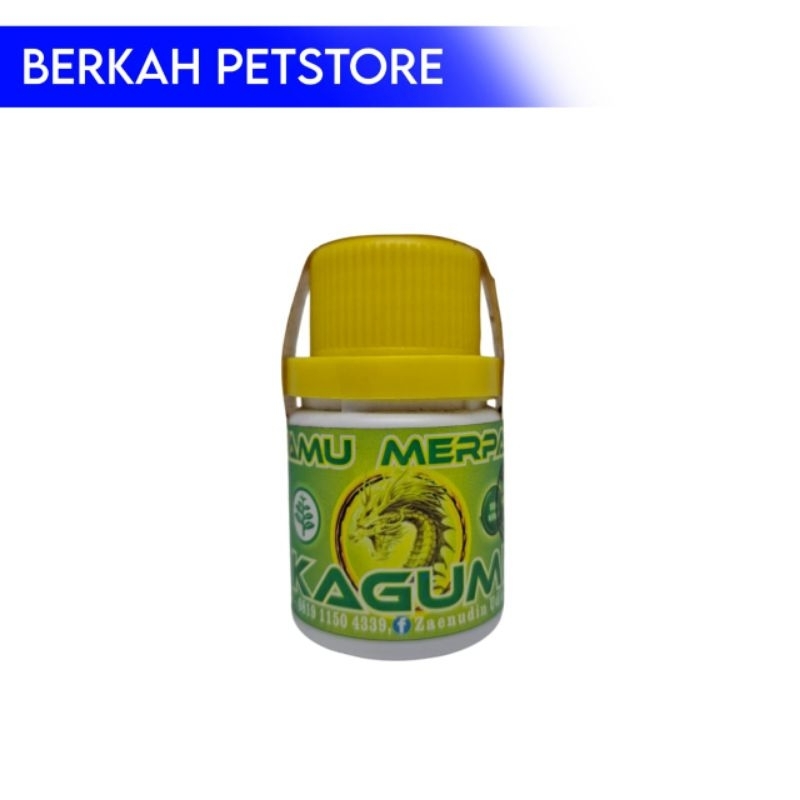 Kagumi jamu merpati kolong jamu herbal merpati 100 butir