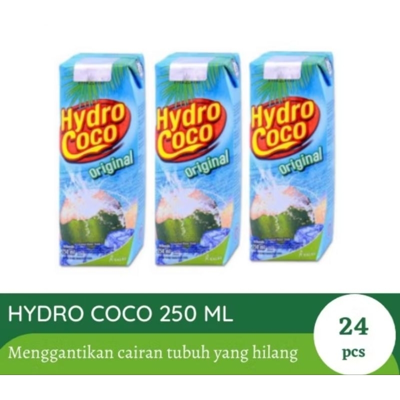 

Hydro Coco 250ml 1 Karton