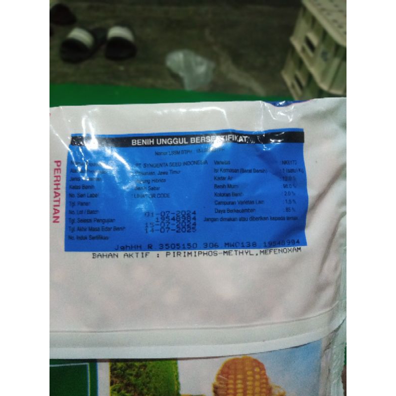 benih jagung NK perkasa 6172 #bibit jagung #benih perkasa #jagung perkasa#NK perkasa 6172