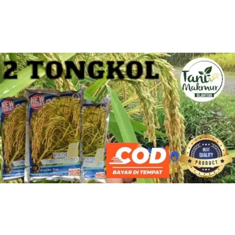 BENIH PADI 2TONGKOL KUALITAS SUPER UNGGUL KEMASAN 5KG