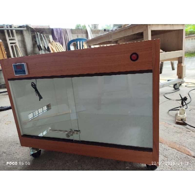 terrarium gecko, reptil dll