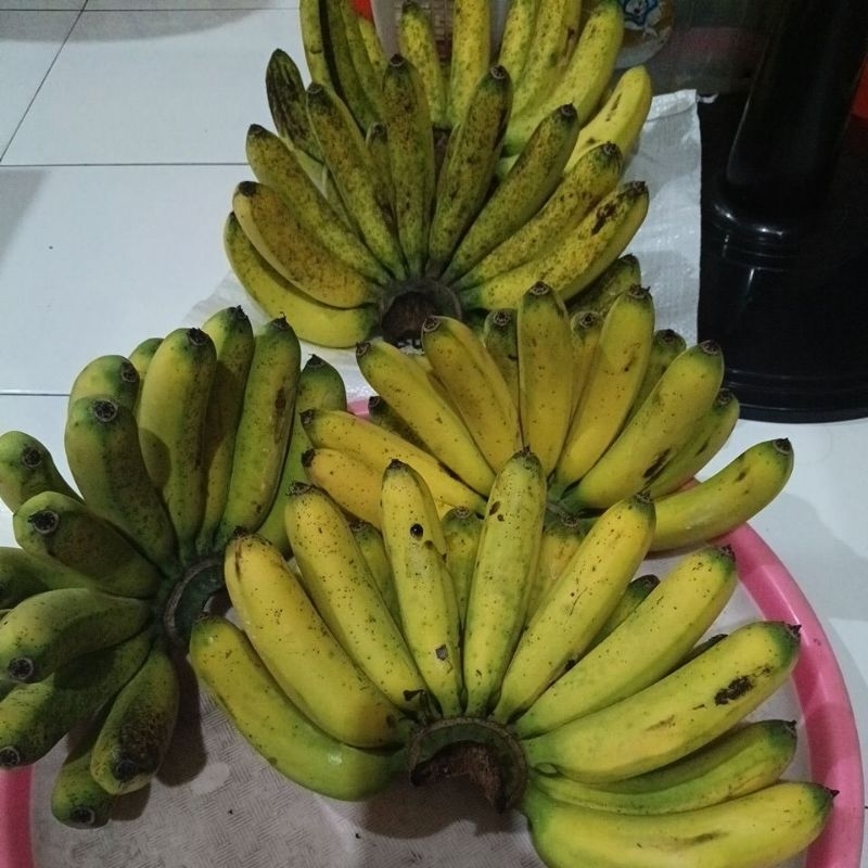 

pisang barangan medan jumbo
