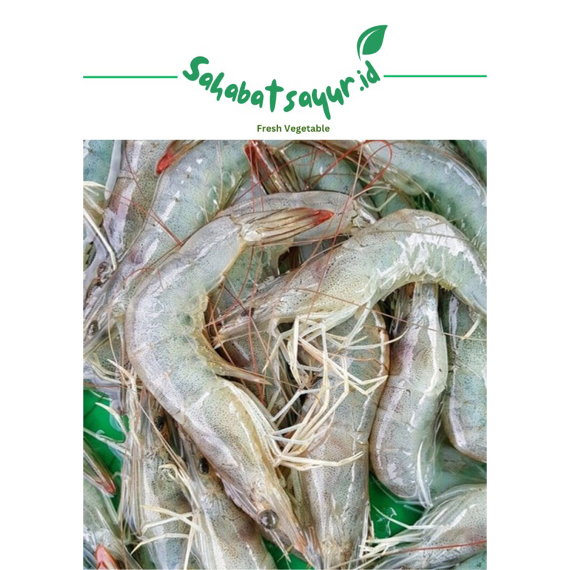 

Udang vaname fresh berat 200gr -Surabaya
