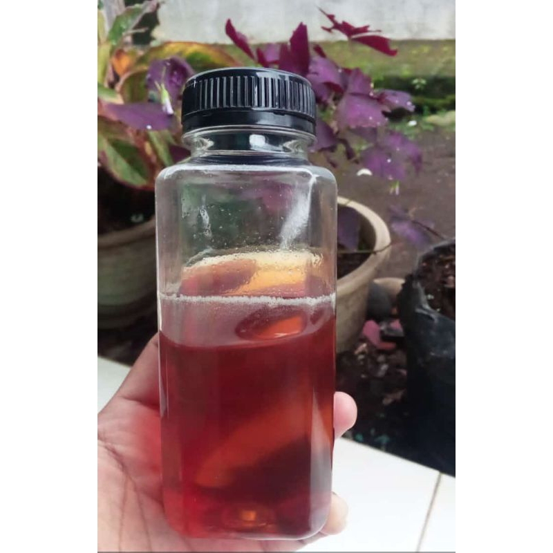 

MADU MURNI MULTIFORA 250g/MADU OBAT