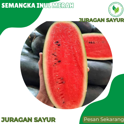 

Semangka Inul Merah Super - Semangka Merah Inul Manis - Juragan Sayur