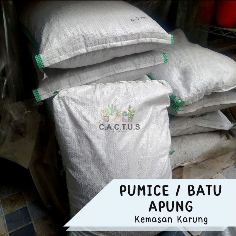 Pumice / Batu Apung Media Tanam Kaktus Sukulen kemasan Karung