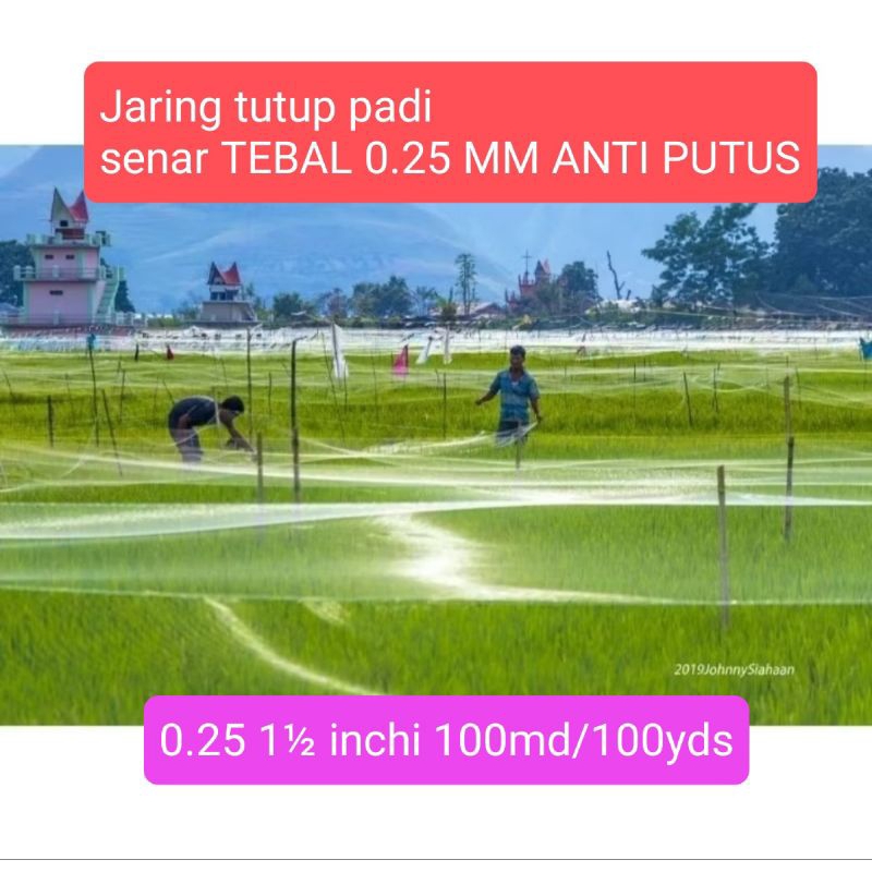 Jaring Tutup Padi Senar TEBAL 0.25 MM Anti Putus Jaring sawah jaring burung kecil