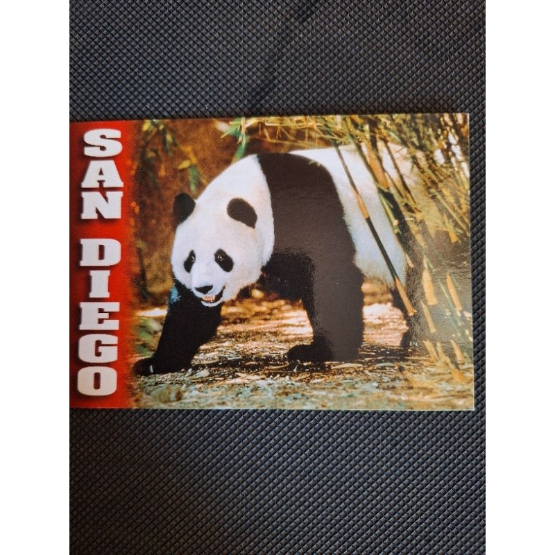 

Kartu pos san diego panda/usa panda postcard