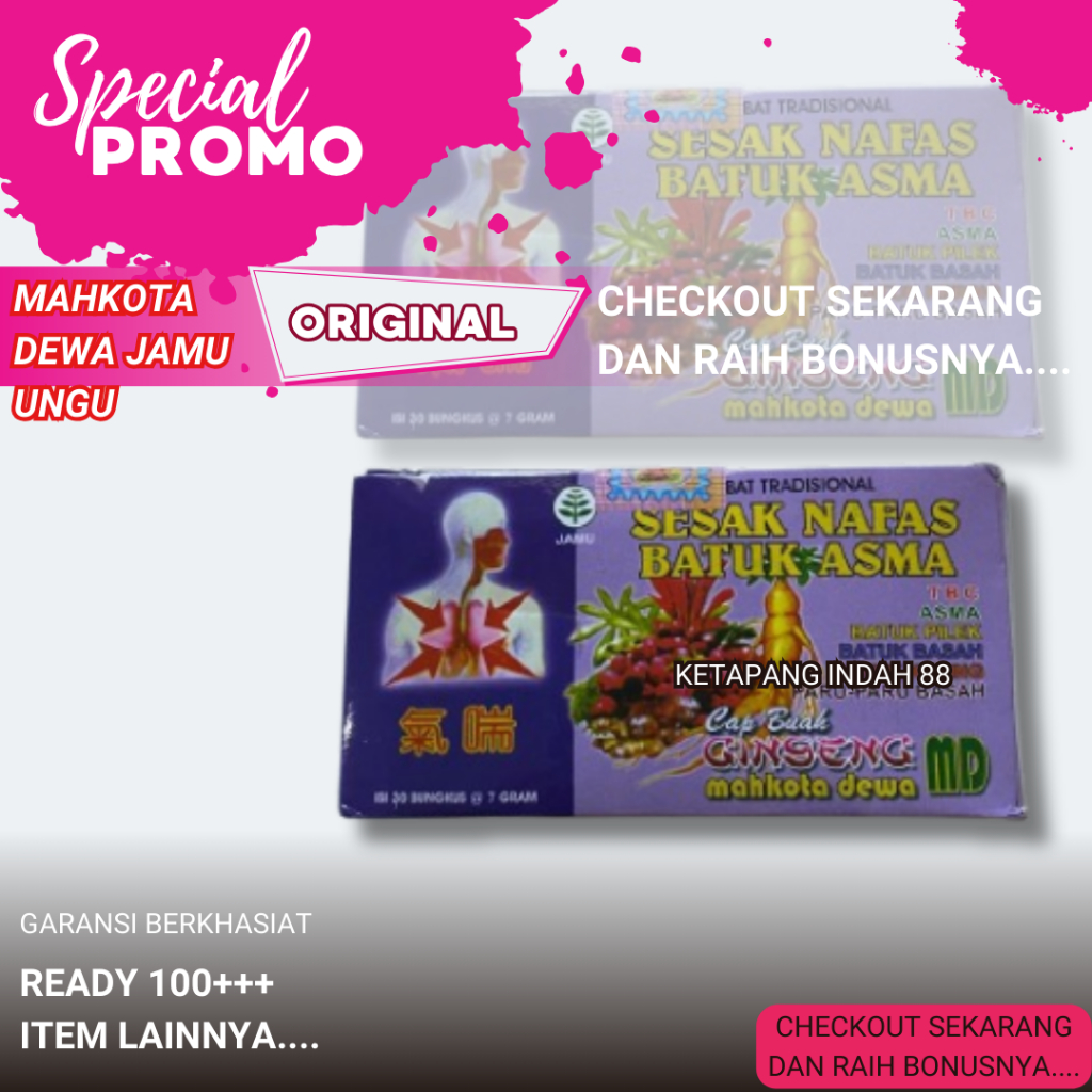 MAHKOTA DEWA SESAK NAFAS