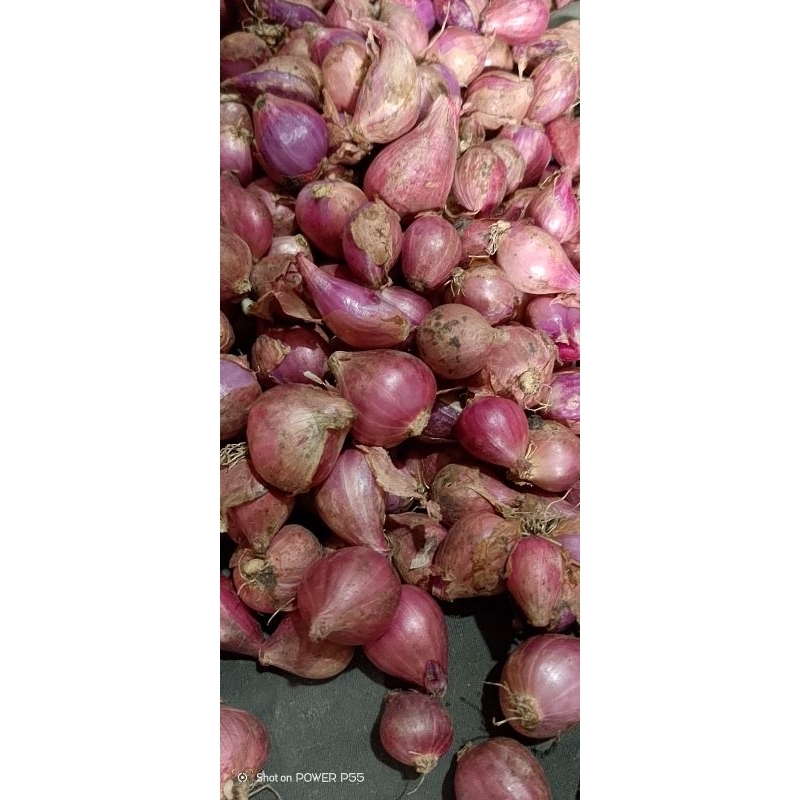 

bawang merah ukuran kecil varian 100gr 250gr 500gr
