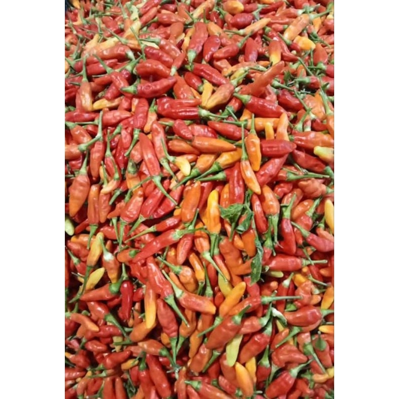 

cabe setan seperempat 250g