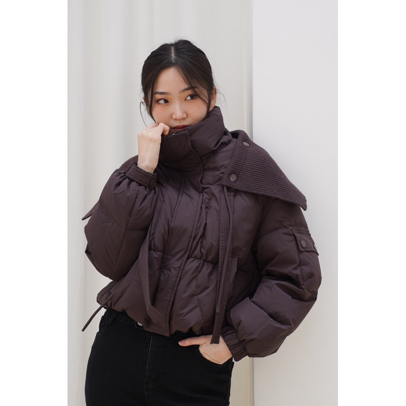 Puffer Down Coat #1733