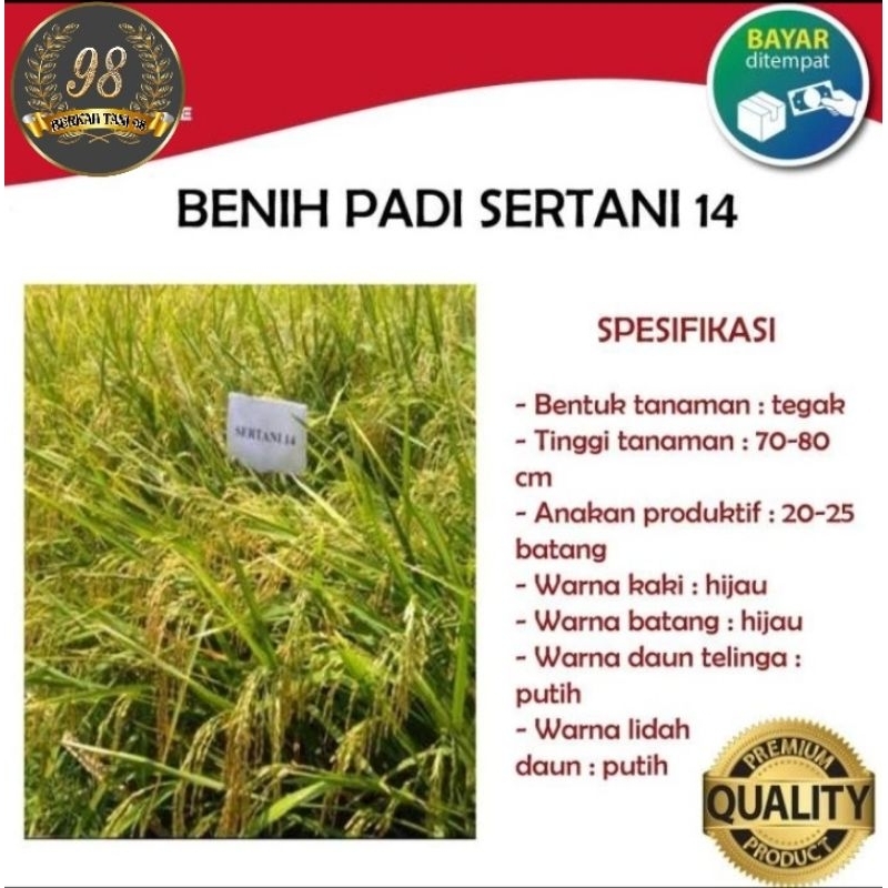 BENIH PADI SERTANI 14 KEMASAN 1KG