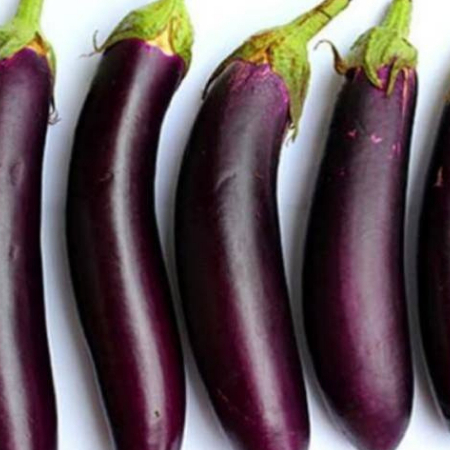 

Terong ungu panjang segar 500g