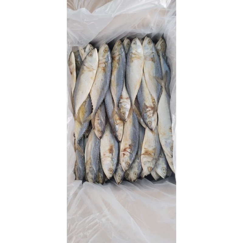 

Ikan Asin Peda