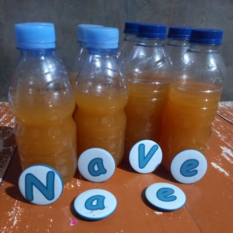 prakarya limbah sampah organic pembersih alami eco enzyme lerak jeruk ecoenzyme pupuk organic cair P